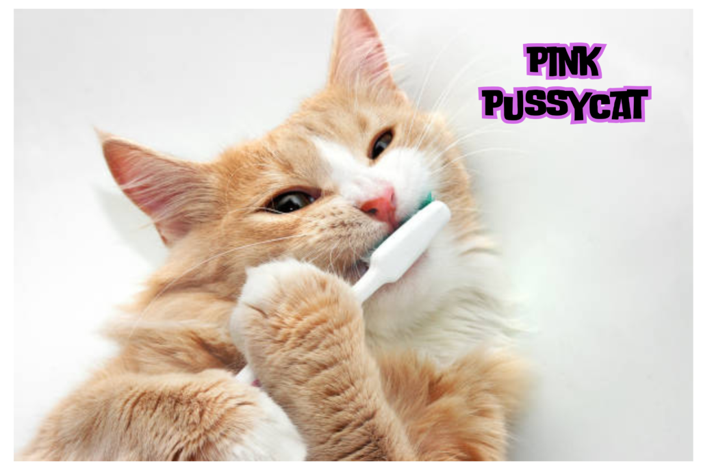 pink pussycat